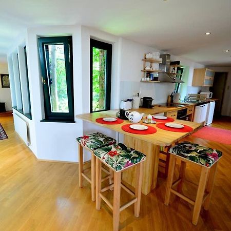 Green Haven Roofgarden Penthouse In Central Area 비엔나 외부 사진